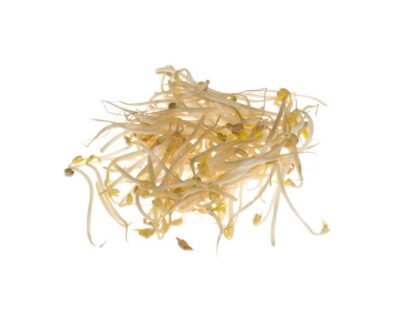 Brotes de Soja 200 gr.