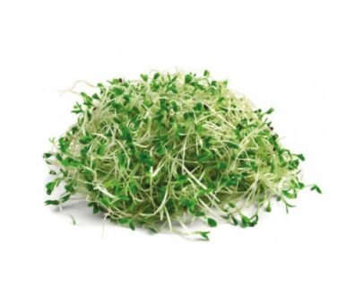 Brotes de Alfalfa 200 gr.