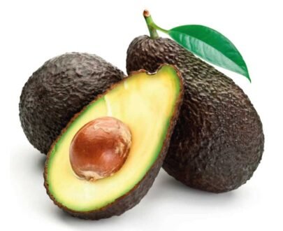 Palta (chilena)