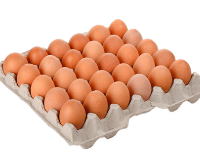 Huevos Colorados Maple N?1